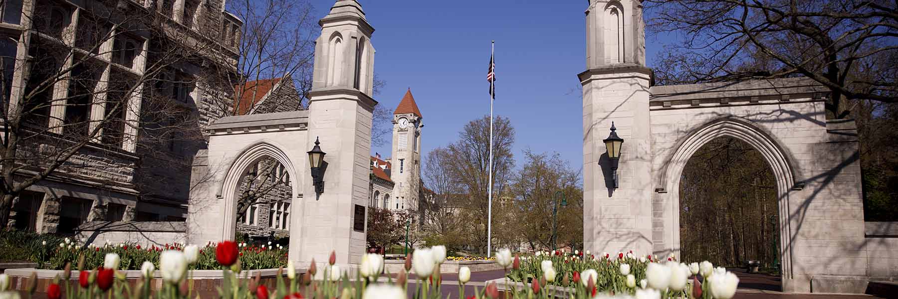 IU's iconic Sample Gates in spring time with red and white tulips.