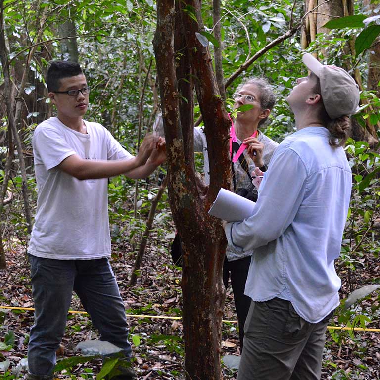 Professor and students in forest